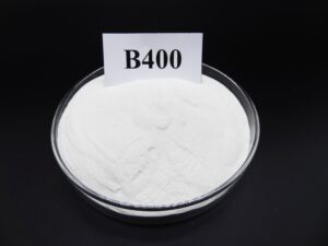 DSC02464_복사본-300x225