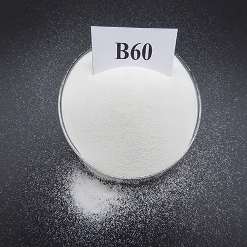 DSC02412_복사 크기 조정