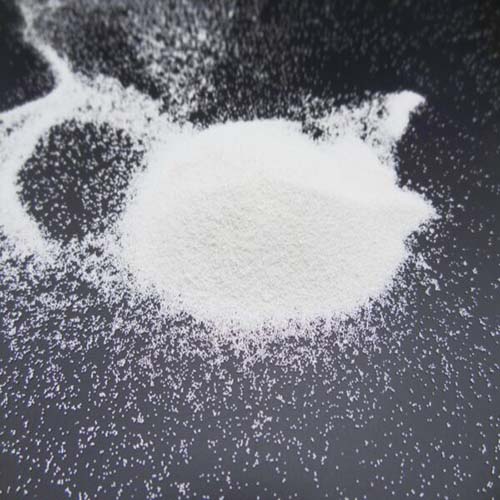 DSC02430_복사본-600x450